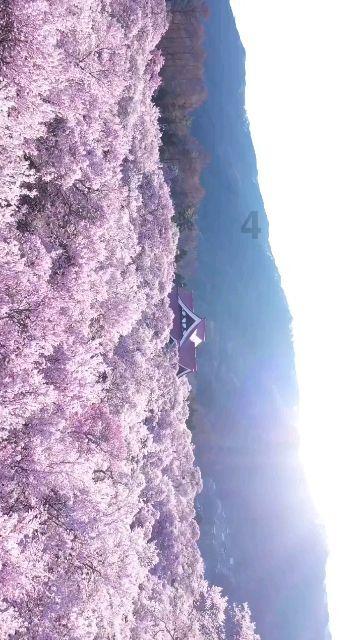 劲舞团